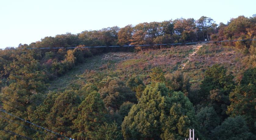 宿ya 京都市 エクステリア 写真