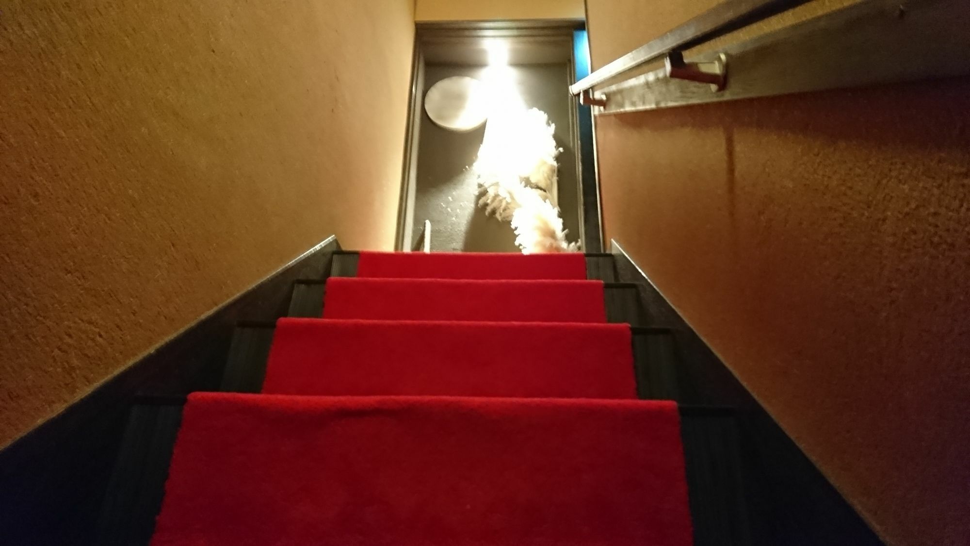 宿ya 京都市 エクステリア 写真